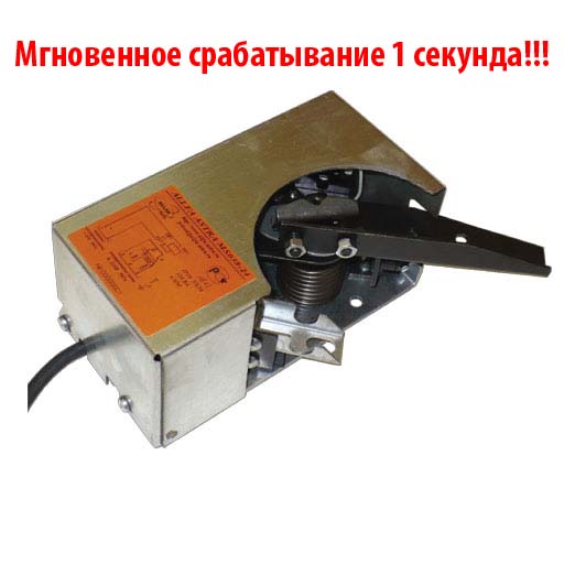 MS038-220 / 01; MS038-24 / 01 электромагнитный привод крутящий момент 2 Нм MS038-220 / 01; MS038-24 / 01 электромагнитный привод крутящий момент 2 Нм